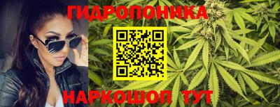 гашик Сланцы